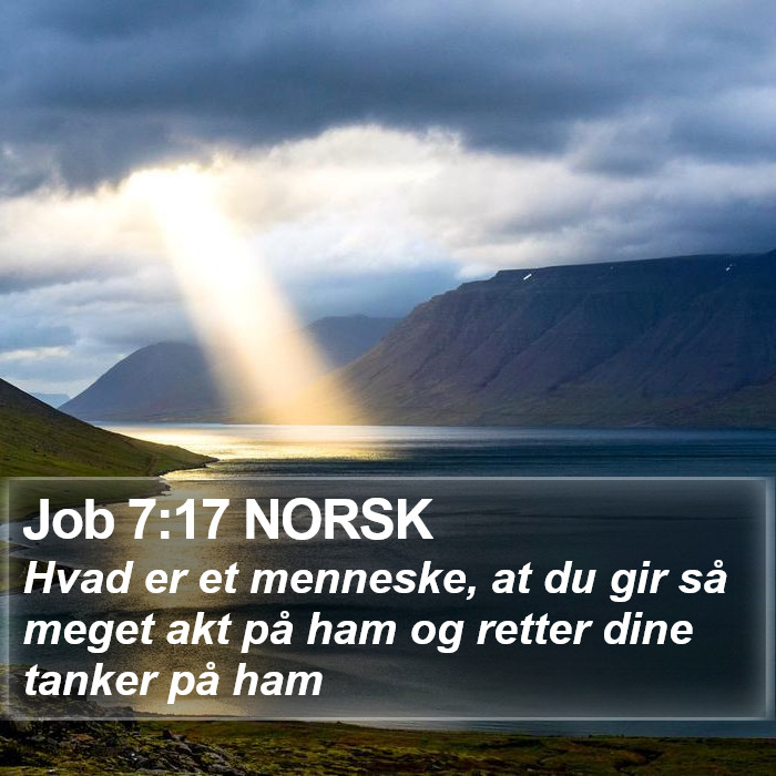 Job 7:17 NORSK Bible Study