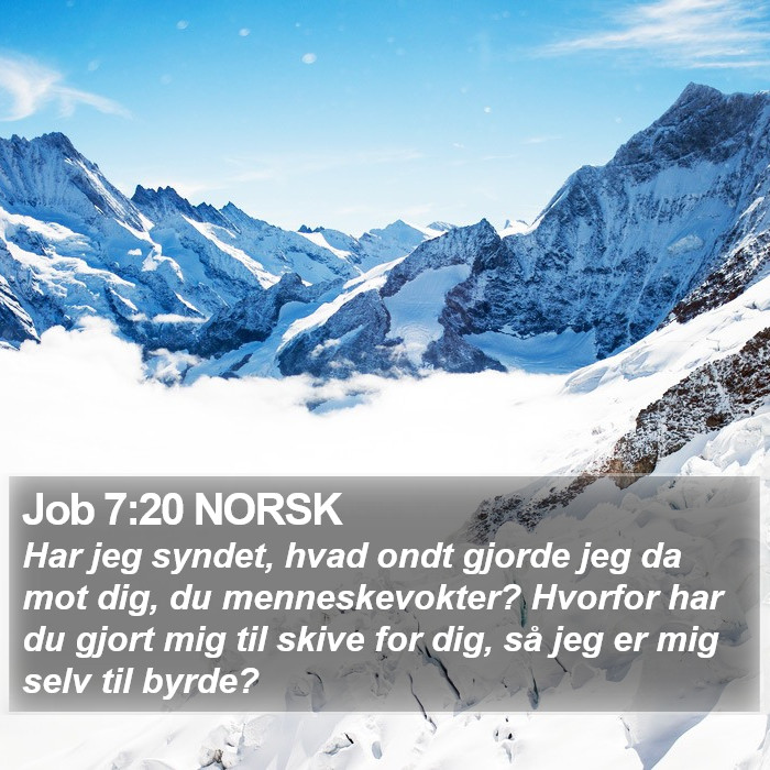 Job 7:20 NORSK Bible Study