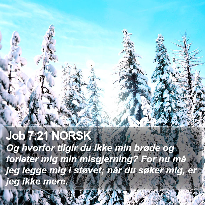 Job 7:21 NORSK Bible Study