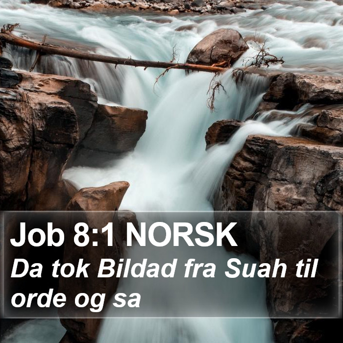 Job 8:1 NORSK Bible Study