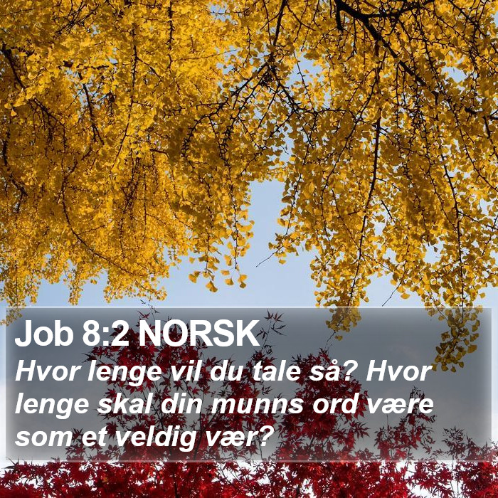 Job 8:2 NORSK Bible Study