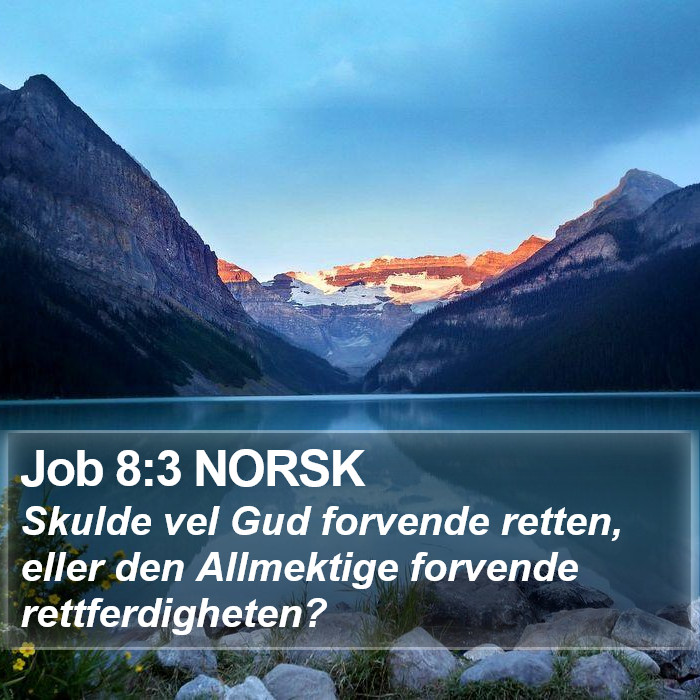 Job 8:3 NORSK Bible Study