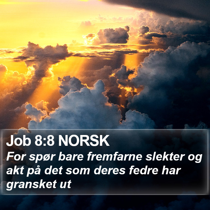 Job 8:8 NORSK Bible Study