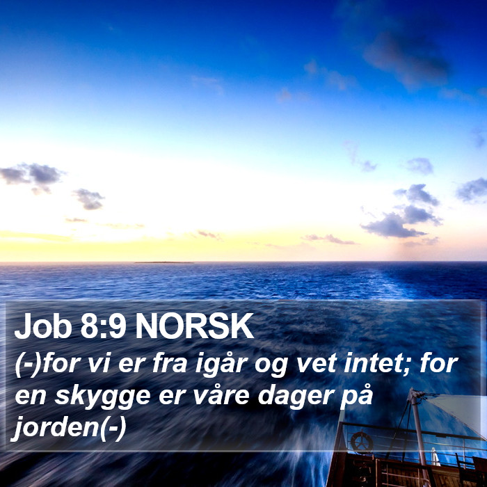 Job 8:9 NORSK Bible Study