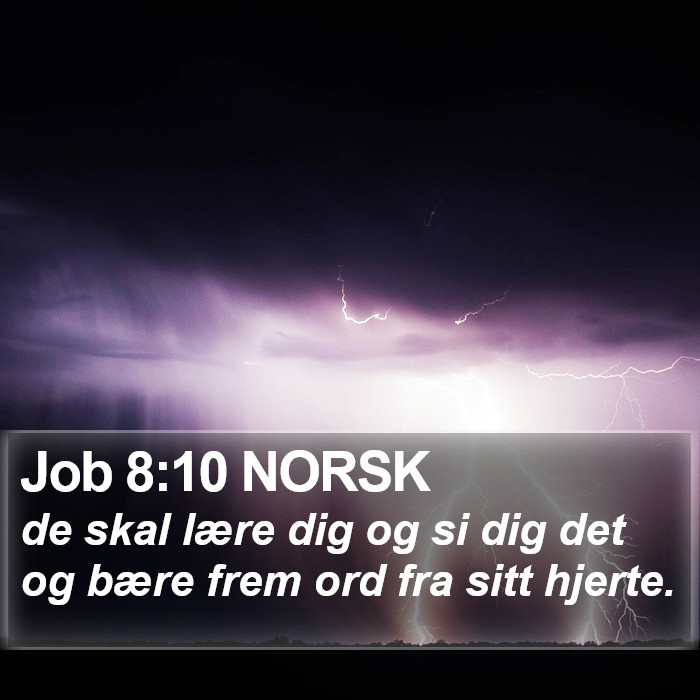 Job 8:10 NORSK Bible Study