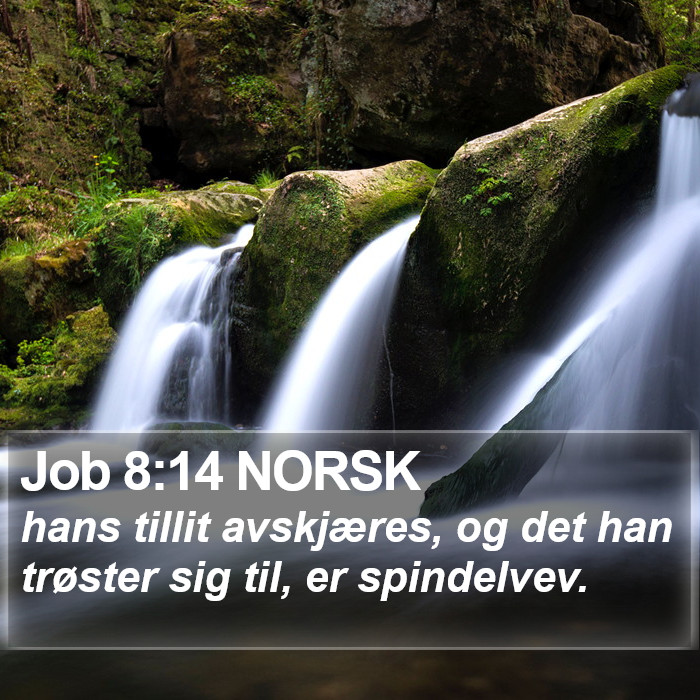 Job 8:14 NORSK Bible Study