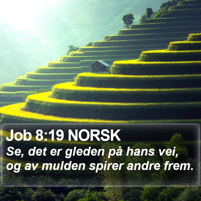 Job 8:19 NORSK Bible Study