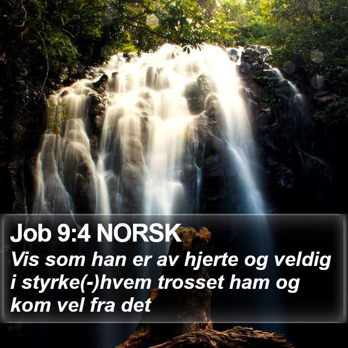 Job 9:4 NORSK Bible Study