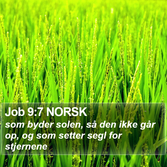 Job 9:7 NORSK Bible Study