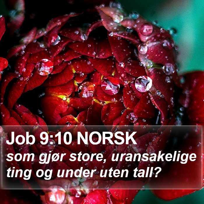 Job 9:10 NORSK Bible Study