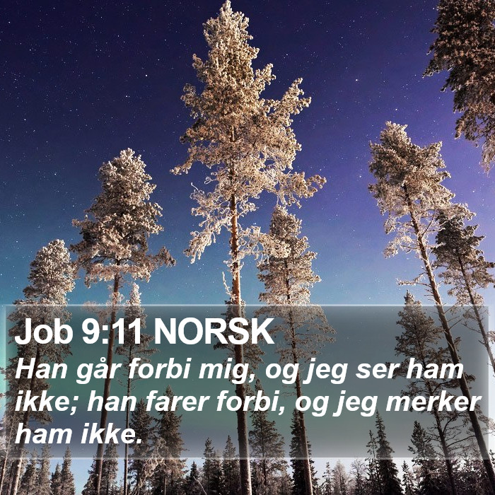 Job 9:11 NORSK Bible Study