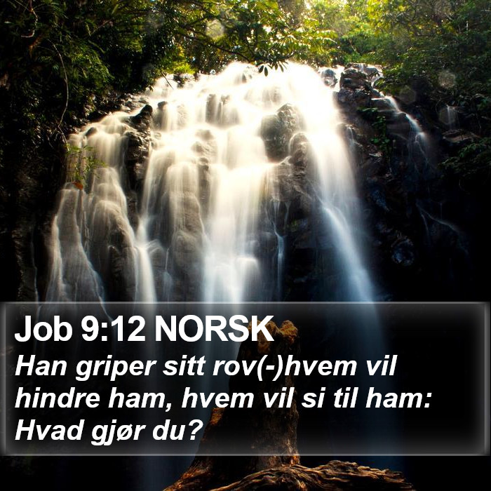 Job 9:12 NORSK Bible Study