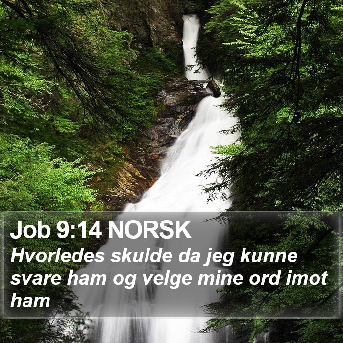 Job 9:14 NORSK Bible Study