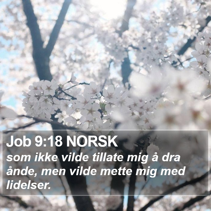 Job 9:18 NORSK Bible Study