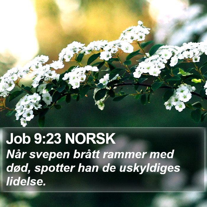 Job 9:23 NORSK Bible Study