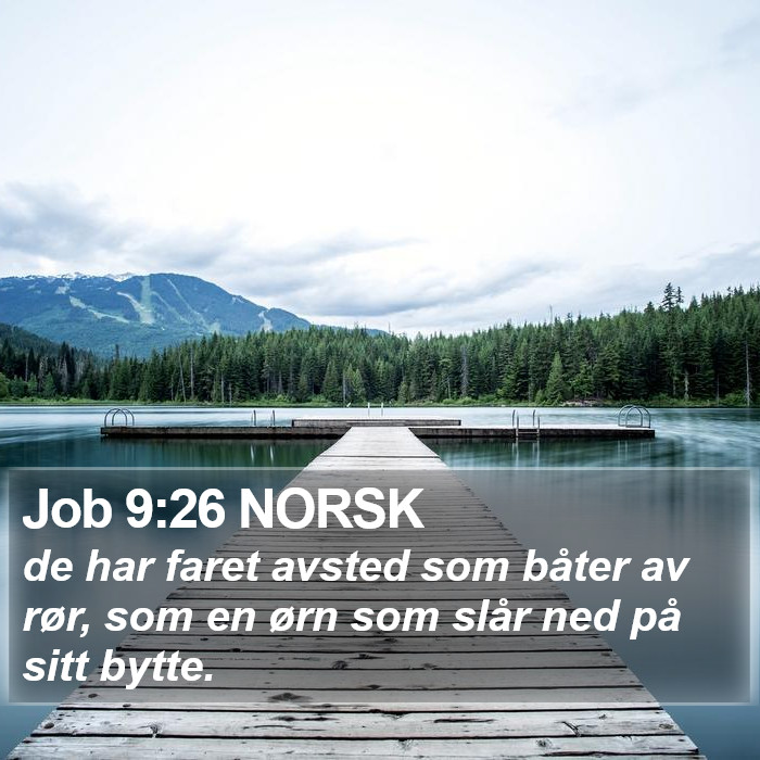 Job 9:26 NORSK Bible Study