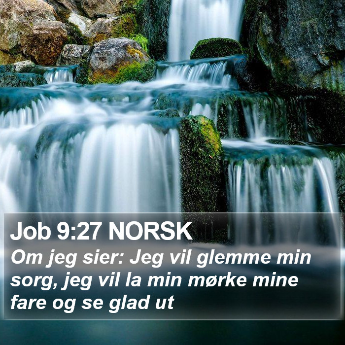 Job 9:27 NORSK Bible Study