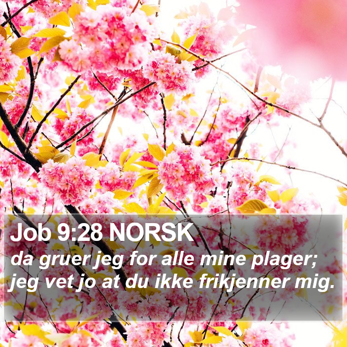 Job 9:28 NORSK Bible Study