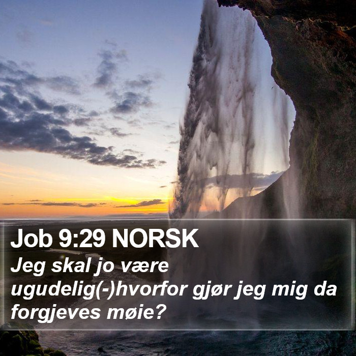 Job 9:29 NORSK Bible Study