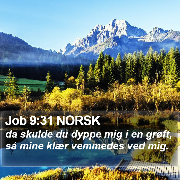 Job 9:31 NORSK Bible Study