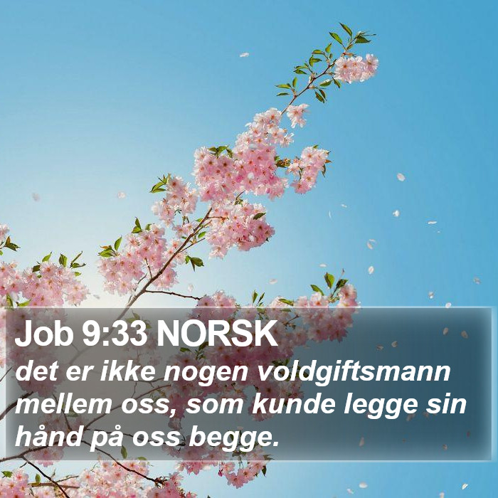 Job 9:33 NORSK Bible Study