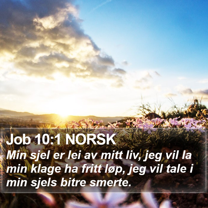 Job 10:1 NORSK Bible Study