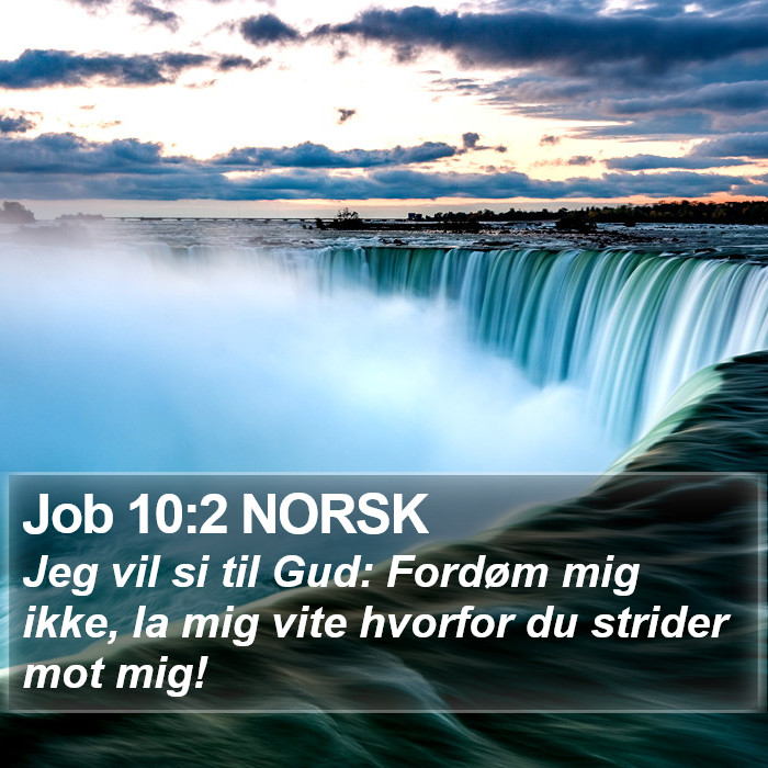 Job 10:2 NORSK Bible Study