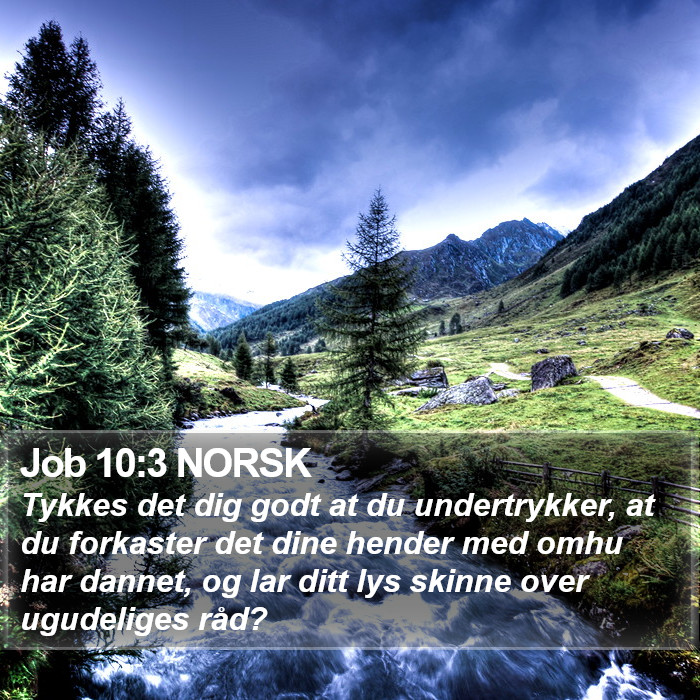 Job 10:3 NORSK Bible Study