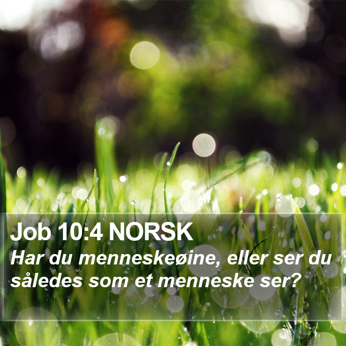 Job 10:4 NORSK Bible Study