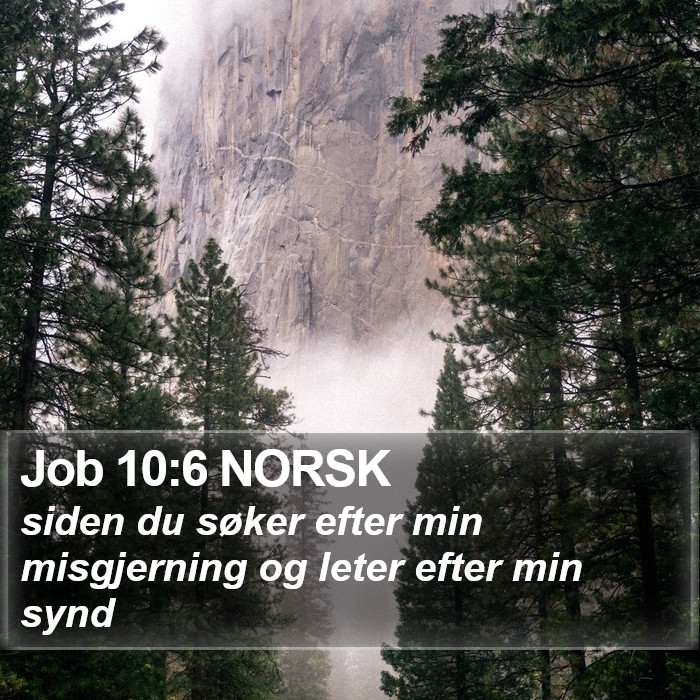 Job 10:6 NORSK Bible Study