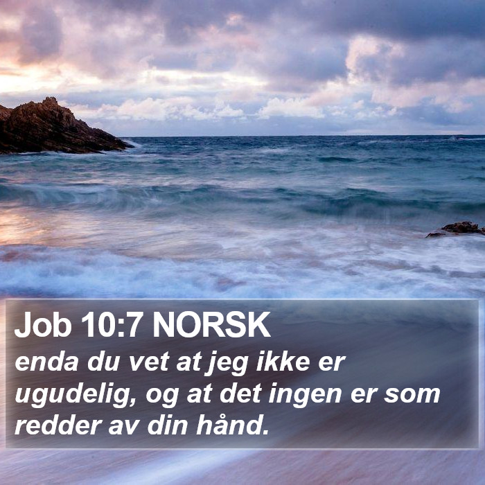 Job 10:7 NORSK Bible Study