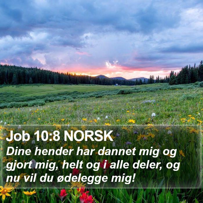 Job 10:8 NORSK Bible Study