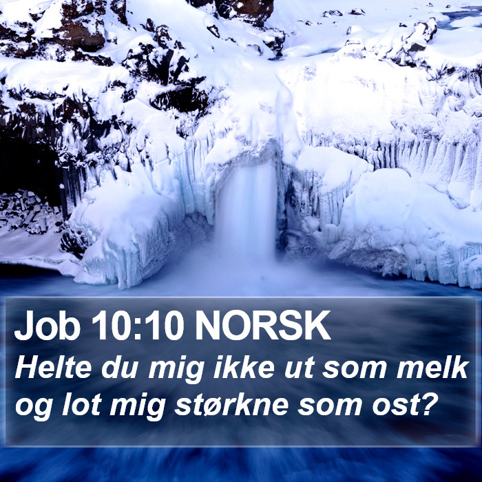 Job 10:10 NORSK Bible Study