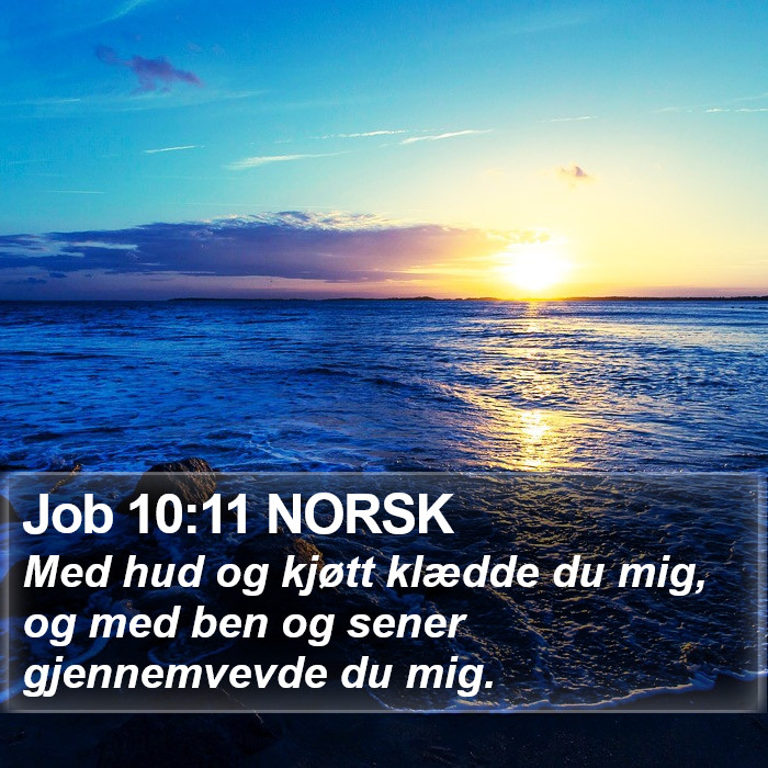 Job 10:11 NORSK Bible Study