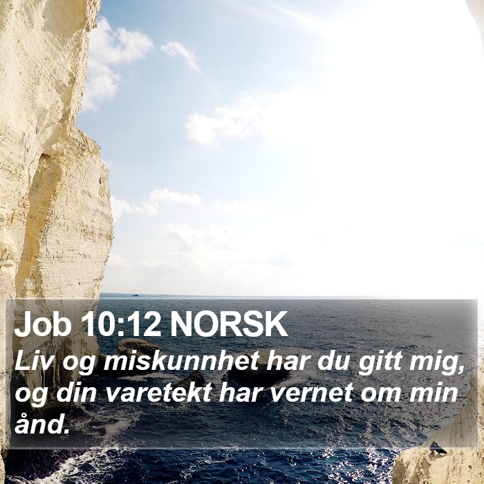 Job 10:12 NORSK Bible Study