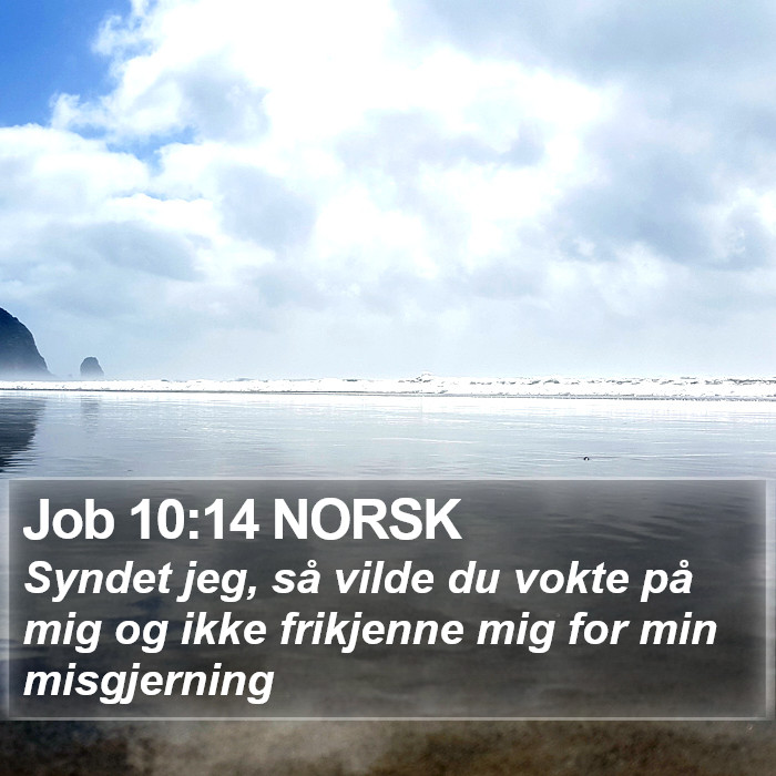 Job 10:14 NORSK Bible Study