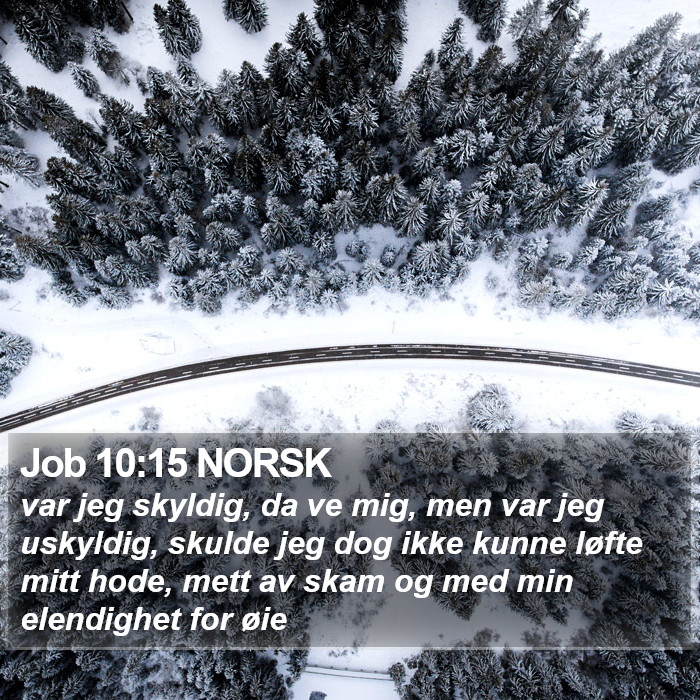 Job 10:15 NORSK Bible Study