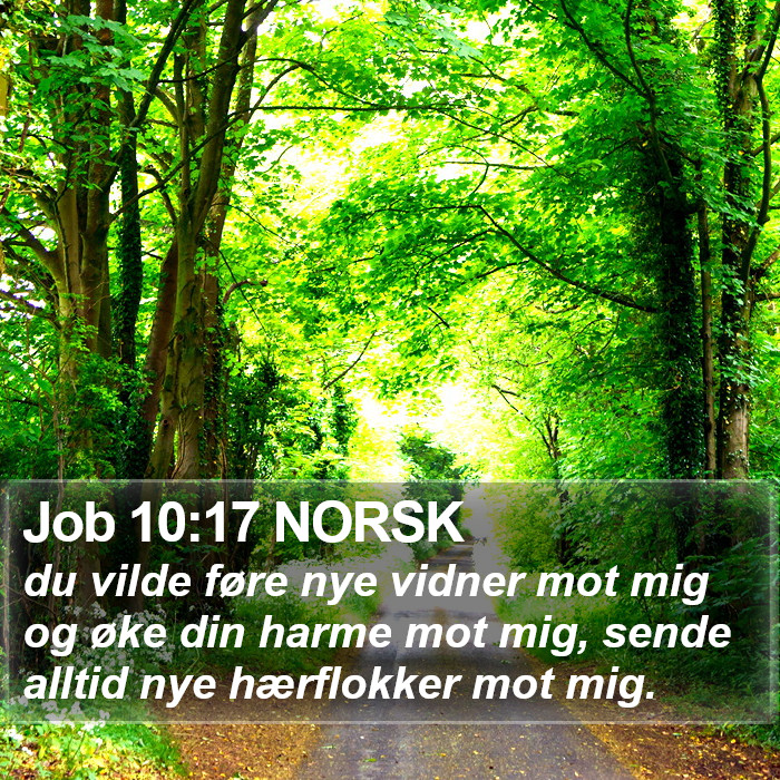 Job 10:17 NORSK Bible Study