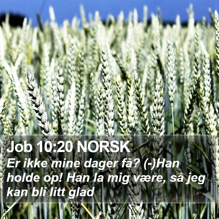 Job 10:20 NORSK Bible Study