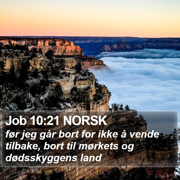 Job 10:21 NORSK Bible Study