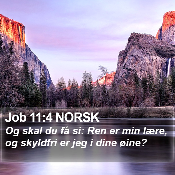 Job 11:4 NORSK Bible Study
