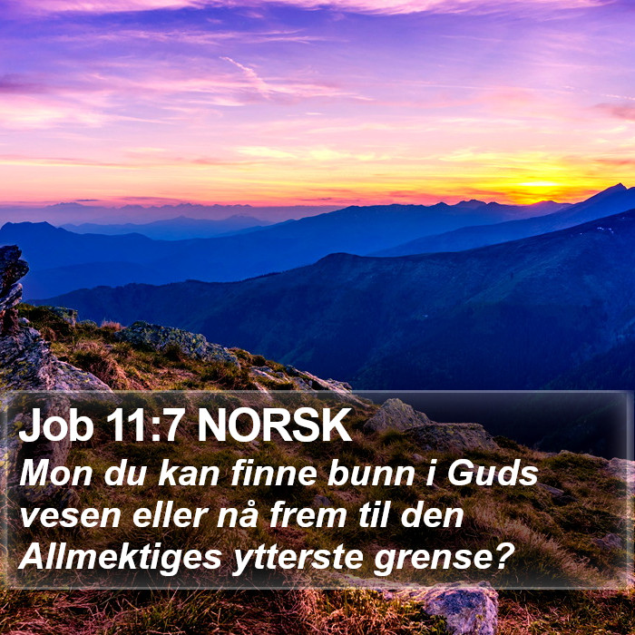 Job 11:7 NORSK Bible Study