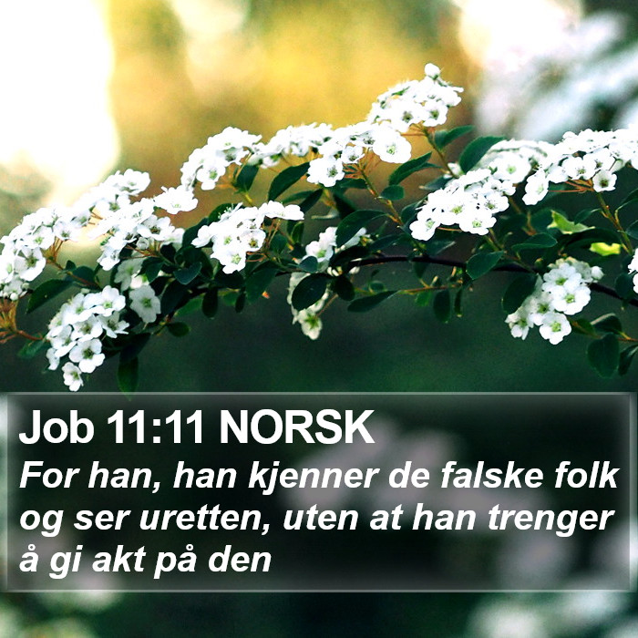 Job 11:11 NORSK Bible Study
