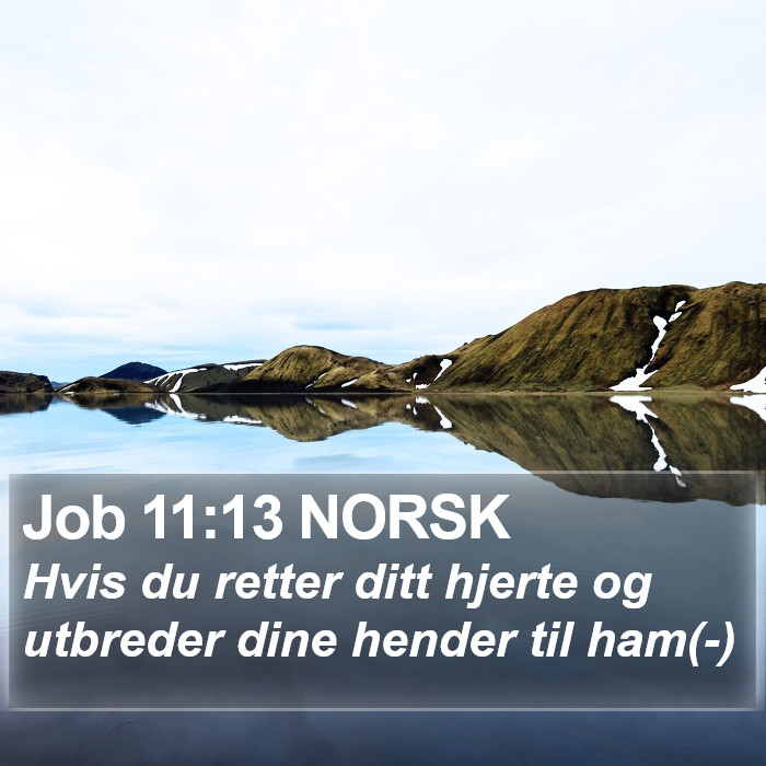 Job 11:13 NORSK Bible Study
