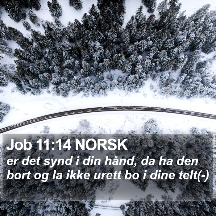 Job 11:14 NORSK Bible Study