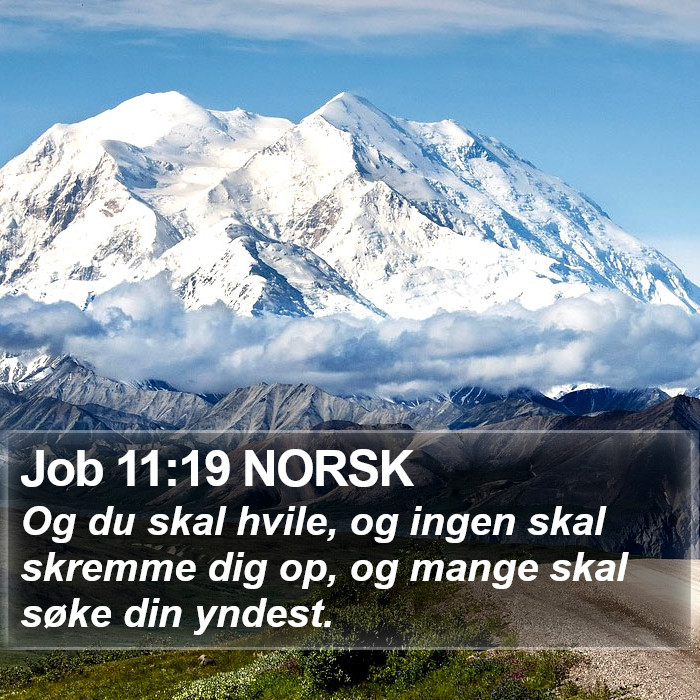 Job 11:19 NORSK Bible Study
