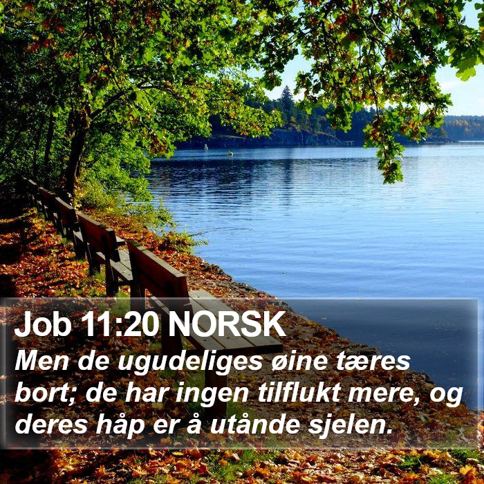 Job 11:20 NORSK Bible Study