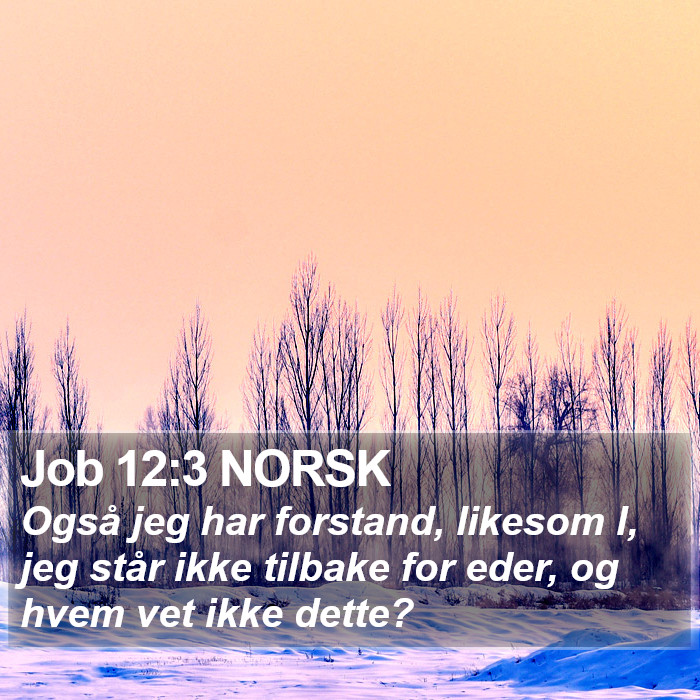 Job 12:3 NORSK Bible Study