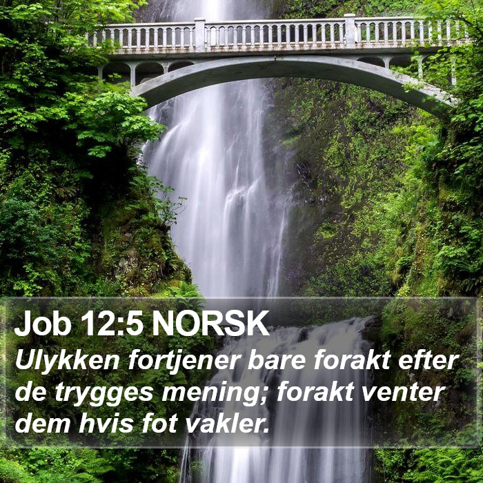 Job 12:5 NORSK Bible Study