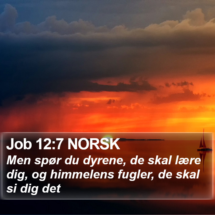Job 12:7 NORSK Bible Study